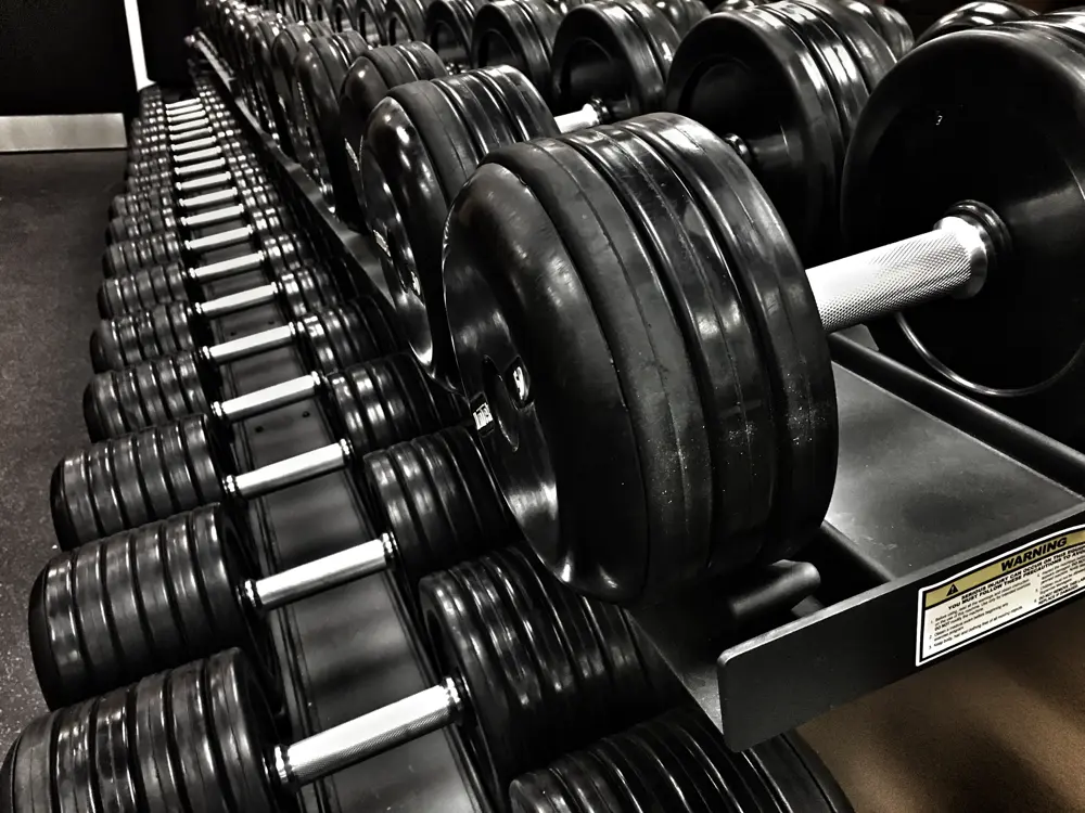 Rack de mancuernas en un gimnasio, referencia al contenido de fitness y fisicoculturismo en Instagram México